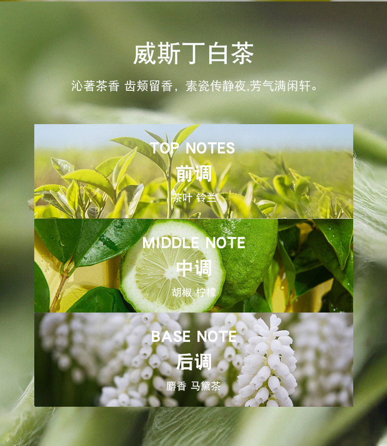 Wholesale of new car fragrance accessories from Xiaocheng Yixiang, featuring gardenia and Blue wind chime aromatherapy with long-lasting fragrance undefined