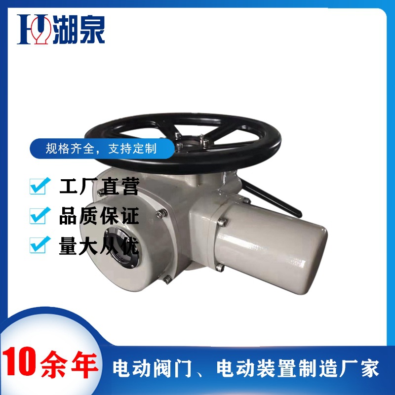 DZW15-24T推力型电动执行机构 闸门用带铜螺母推力盘电动驱动装置