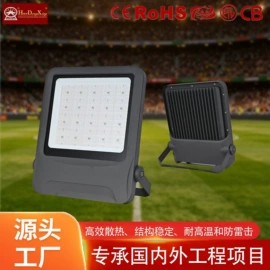 太阳能灯;路灯;投光灯