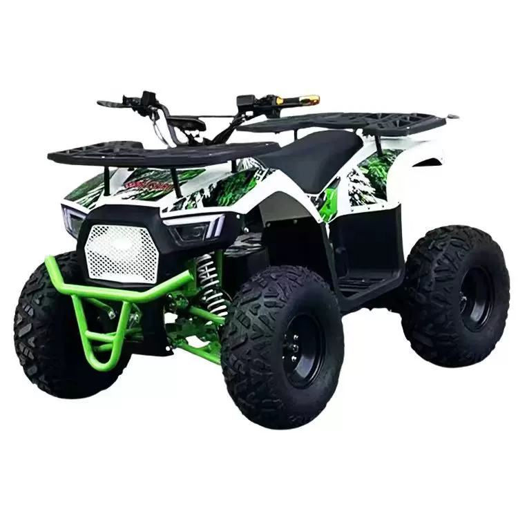 Электрическая пляжная велосипед, прямые продажи завода, 60V, 800W