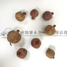 干花大石榴特色民宿装饰美食文艺复古拍摄道具干花果实diy永生花