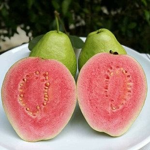 ����ֱ�N��ʯ����t�����ϰŘ���������̨���ļ����鷬ʯ�������