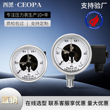 ���P� �͸ߜ�늽��c������YXH-100BF�������ʽ1.6MPa�≺ؓ����