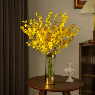 ƿ���滨�����������m�[����ˇ�ɻ��廨���������mӭ�����ٻ��͏d