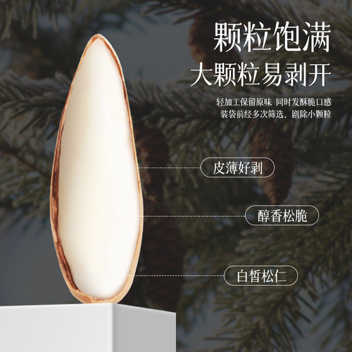  New Arrival Brazilian Hazelnuts Afghan Hand-Picked Hazelnuts Mid-to-High Grade Nuts Wholesale