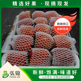 辣椒彩椒;瓜果类