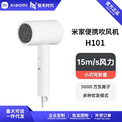 Mijia ポータブルヘアドライヤー H101 マイナスイオン折りたたみ式電気恒温ヘアケア速乾ヘアドライヤー温冷風 H300