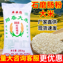 阳春大米888珍桂矮肠粉米25kg/袋早米矮米广东石磨肠粉米