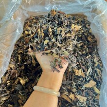 22�����Ř��ϰײ���~�N�Ř��ɢ�����lؕü�ϰײ�500���b