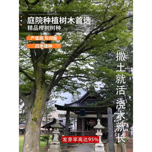 �Θ�N�� �t�Θ� С�~�Ә� С�~�t�� ���~���ηN�� ���~�Ә���]