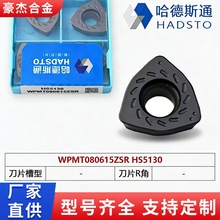����˹ͨWPMT080615ZSR HS5130ϵ�Д��ص�Ƭ���P�Ӳ�|�Ͻ�Ƭ