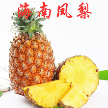 ���Ͻ���P�����r�����Ꭷˮ�����}�������}���lһ�����l