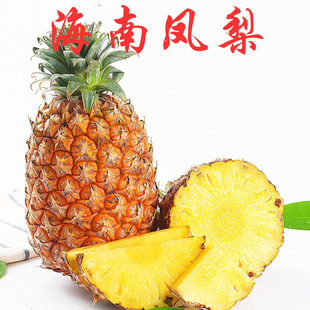 ���Ͻ���P�����r�����Ꭷˮ�����}�������}���lһ�����l