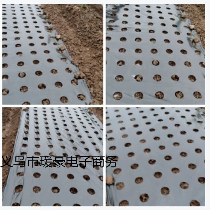 Луковая пленка с отверстиями, мульчирующая пленка, черная пленка, серебристо-черная пленка с 8-12 отверстиями, маленькая луковая пленка, овощная пленка, перфорированная мульчирующая пленка
