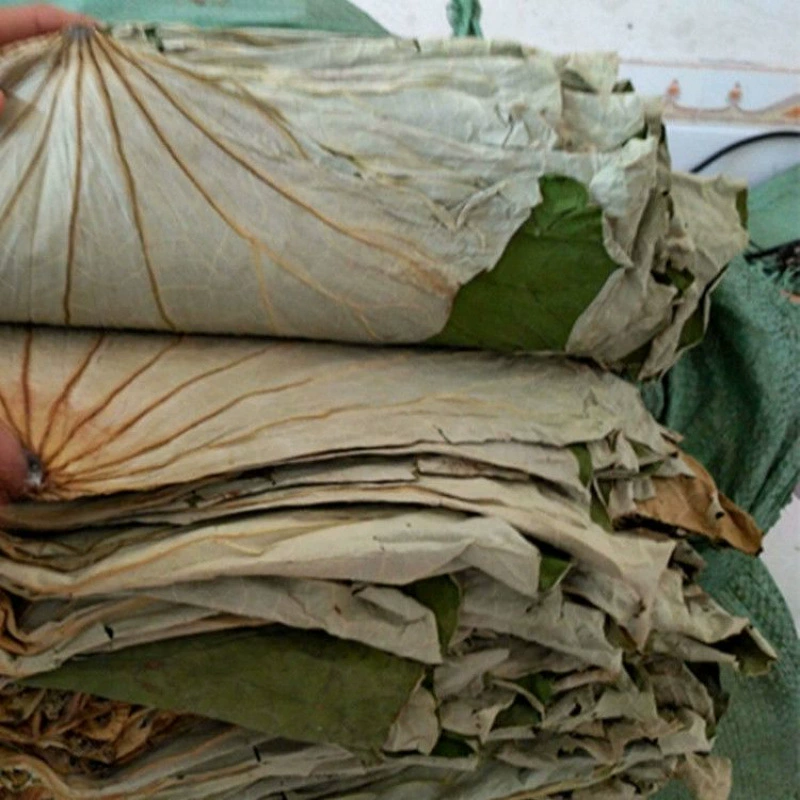 Сушеные листья лотоса из озера Вэйшань, 250 г, для курицы в глиняной посуде, курицы в листьях лотоса, курицы с клейким рисом, свежие листья лотоса для приготовления каш.