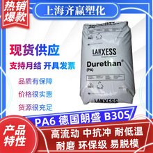 PA6 德国朗盛 B30S 高流动耐低温环保级聚酰胺6塑胶原料塑料颗粒