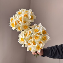 �羳���N������ˮ�ɷ��滨Ʒ�|؛ԴԴ�^���S���lܛ�b�zӰ��c����