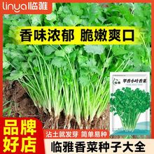 RŴ~˷N r˵̨Sa׷Nֲͺ͟ζ߲