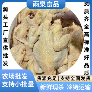 �����S���u �S�����h�u ���h�S���u ���u ���S�u