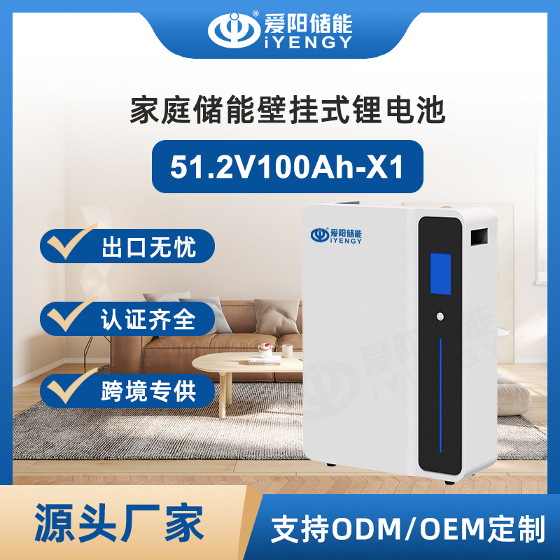 壁挂储能电池51.2V100Ah家庭备用电源5kWh大容量锂电池组磷酸铁锂