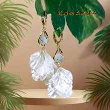 2025���¿��ɫ������hŮС���OӋ�К��|�ٴ��ᔸ߼��б�����