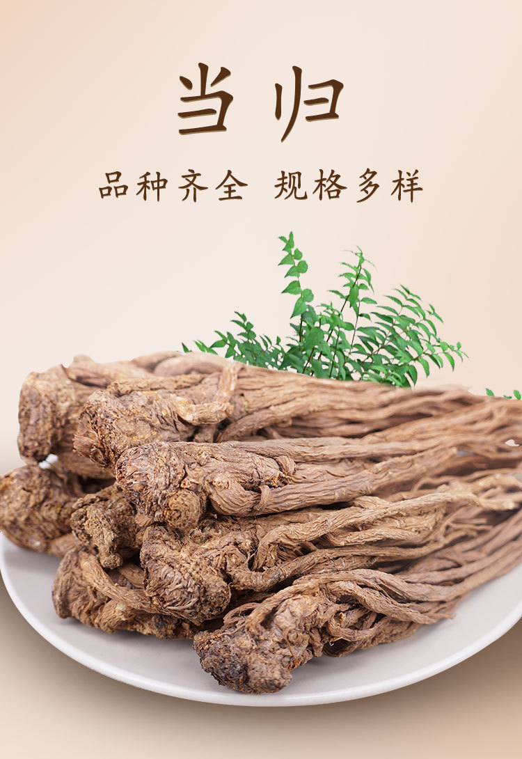 Dried Angelica Slices Dang Gui Whole Root 500g Loose Bulk Traditional TCM Herb for Decoction and Soup overview