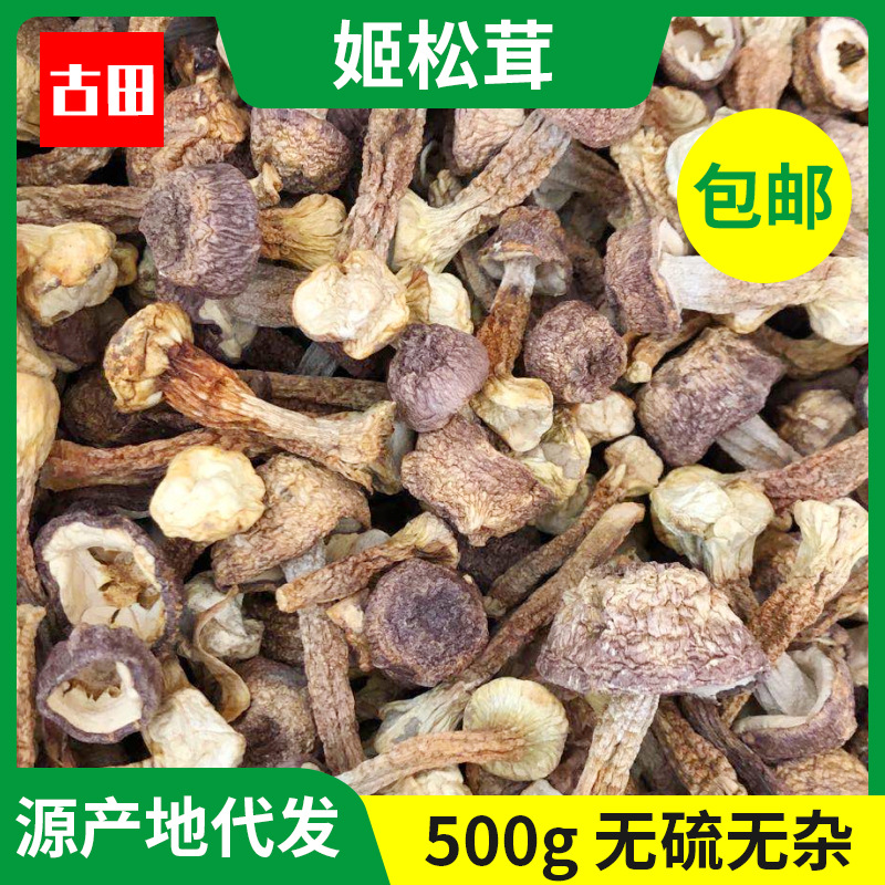 古田特产姬松茸新鲜干货食用菌500g 散装姬菇当季巴西菇现货批发