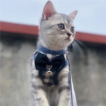 猫咪牵引绳外出防挣脱可调节遛猫绳猫链子舒适透气韩版宠物牵引绳