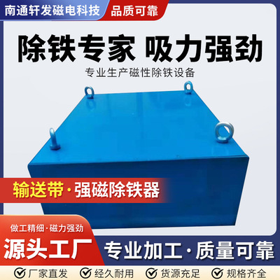 廠家直供皮帶機、振動輸送機電磁振動給料機除鐵器