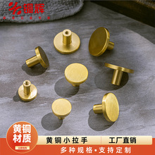 ���T���֬F�����s��ʽ���T�����p�������L������Ͻ�ɫ�S�~����