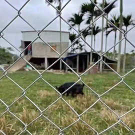 矿用勾花网圈地养殖热镀锌钢丝网喷浆护坡铁丝网菱形支护果园围网