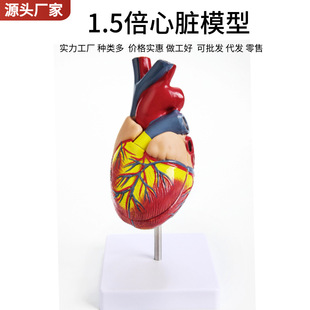 ���w���K����ģ�� B���ʳ��ɲ�ж��Ȼ�����K�t�W�ă��K�̌Wģ��