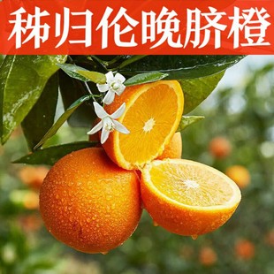 �������w����Ě�ȸ�Ʒ�|���r�����ȬFժ���5���䮔��ˮ������