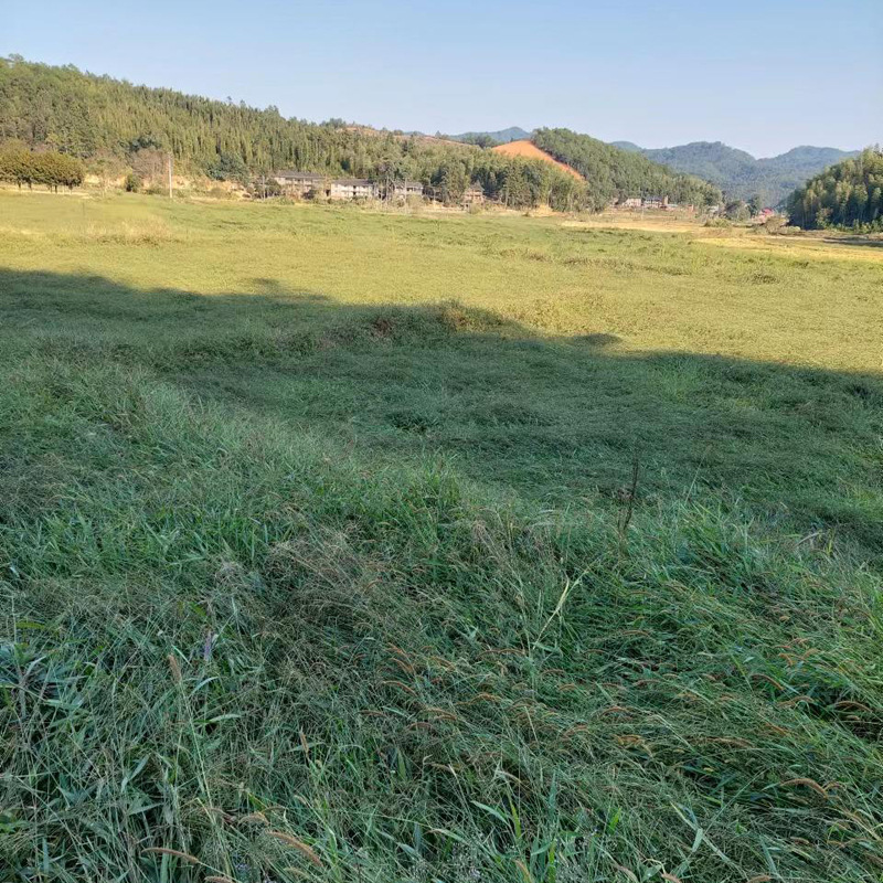 ed3dd21c96a8fb1d7bb28046471f59