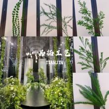 �Gɫϵ���滨�J�n��ɭϵ��c�Gֲǧ�ӽ��Y�ò��Ñ����ƺ��Y