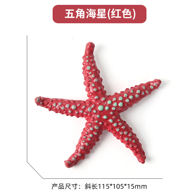 Étoile de mer du pentagramme [rouge]