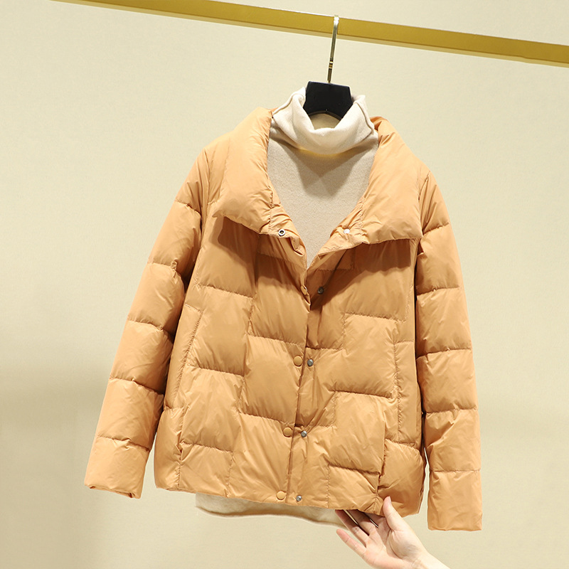 오렌지 핑크