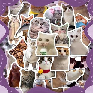 300��؈meme�N���ɐ۸�Ц����؈��ins�L��������D�ز����~���N��