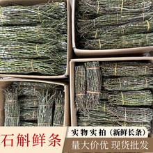 云南新鲜长铁皮石斛鲜条500g散装现货多种规格云南石斛鲜条基地批