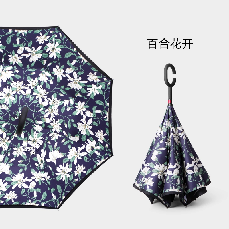 Men's double-layer automatic big umbrella for double, fully automatic