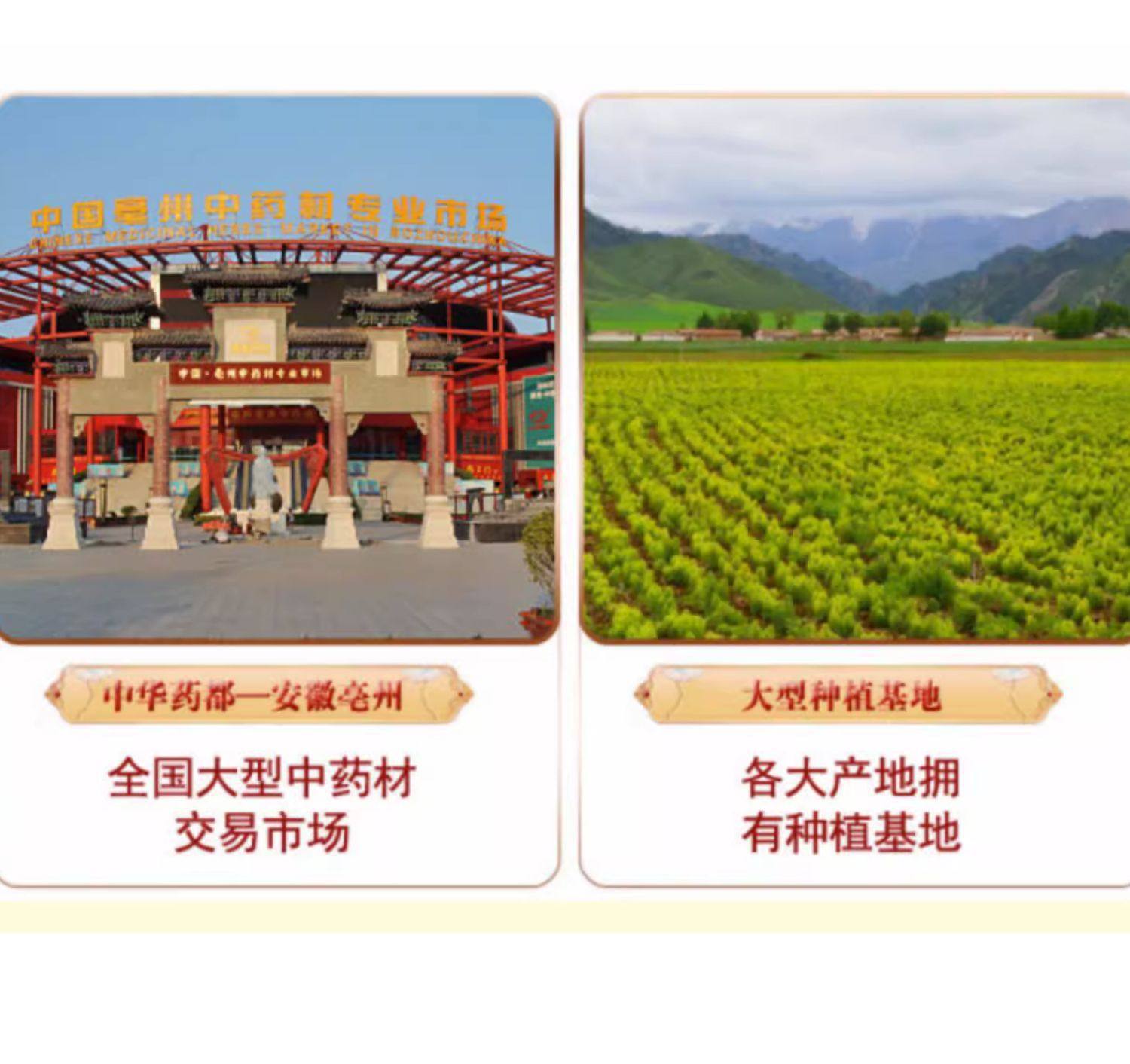 Bitter Apricot Kernel Powder Xing Ren Ren Skinless Sugar Free Baking and Herbal Drink Powder 450g x 3 Cans in use