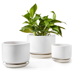 Simple Flower Pot Ceramic Large Cross-Border Amazon Home Orchid Special Green Plant Pot Flower Pot with Tray Wholesale