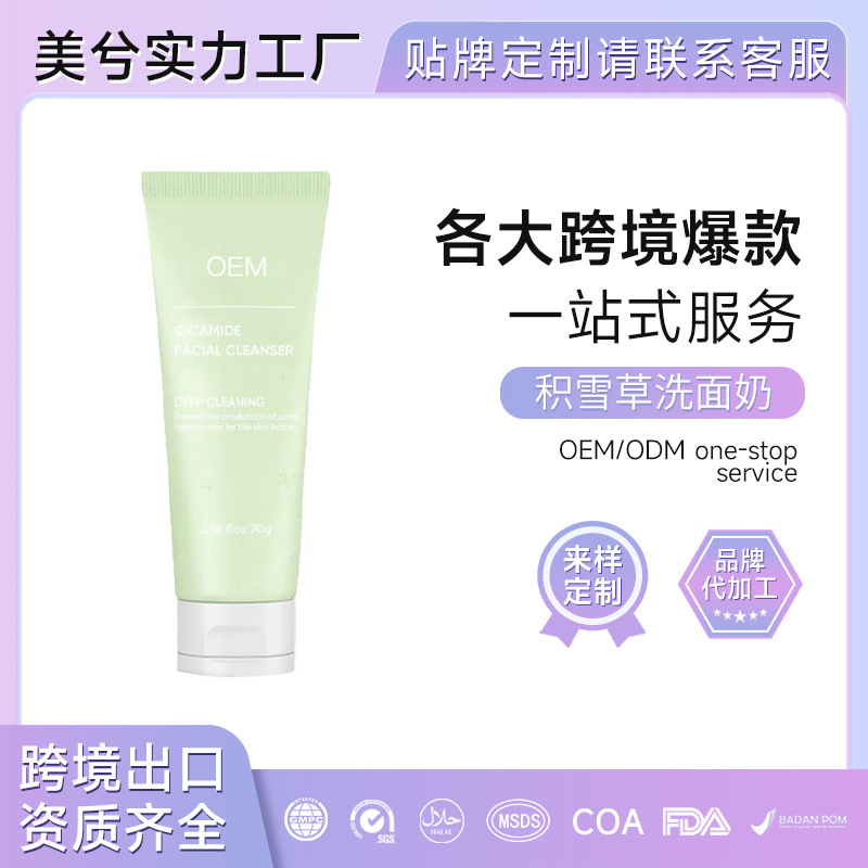 积雪草洗面奶贴牌女清洁补水保湿面部护理氨基酸洁面乳OBM代加工