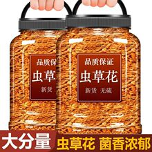 【无干燥剂发货】新上市虫草花干货菜类无熏硫新鲜北蛹金厂家直发