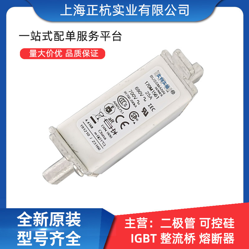 170M1561  170M4269智能跌落式低压快速熔断器 全新原装 量大从优