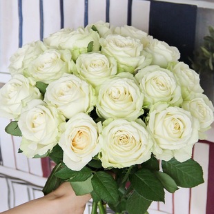 Red Cappuccino Rose Kunming Dounan Base Flower Hair Multi-Headed Lily Champagne Water Nourishing Same City Chinese Valentine's Day Direct Sales