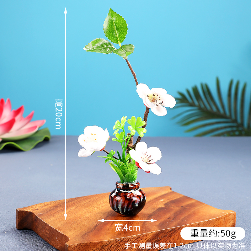 酒店菜品摆盘装饰点缀冷菜装饰花草摆盘刺身绿毛球三文鱼摆件围边|undefined
