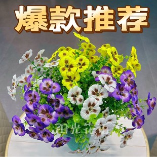 �羰�S��ֱ�N����Gֲ�ȼ���������ɫ�������m�Ҿӑ�����滨