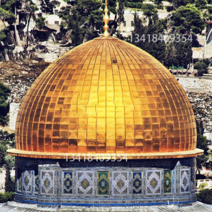 ���ٌ�� �Wʽ��־�Խ��B���P���  ������������