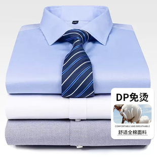 ��DP��C���¿���ʿ100%�ޗl�y�r���̄����e�I�b�L���r�������l